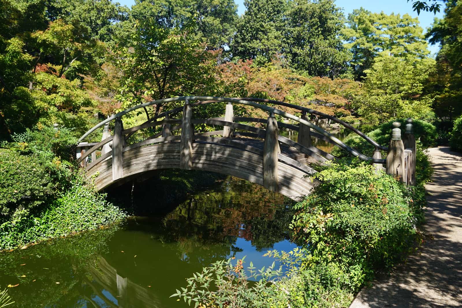 The red moon bridge over the koi pond at the Fort Worth Japanese Garden