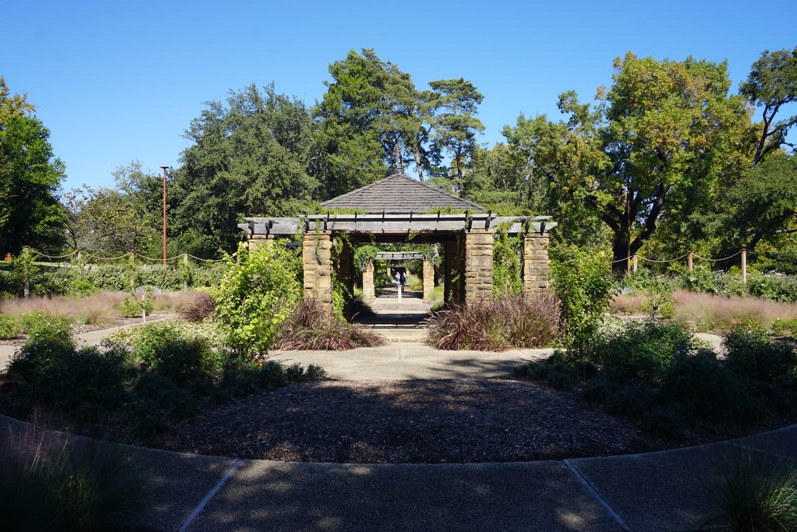 The Oval Rose Garden at the Fort Worth Botanic Garden