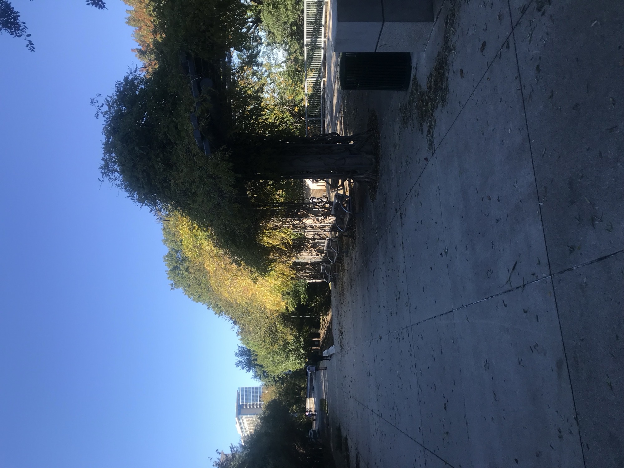 The Katy Trail in Dallas