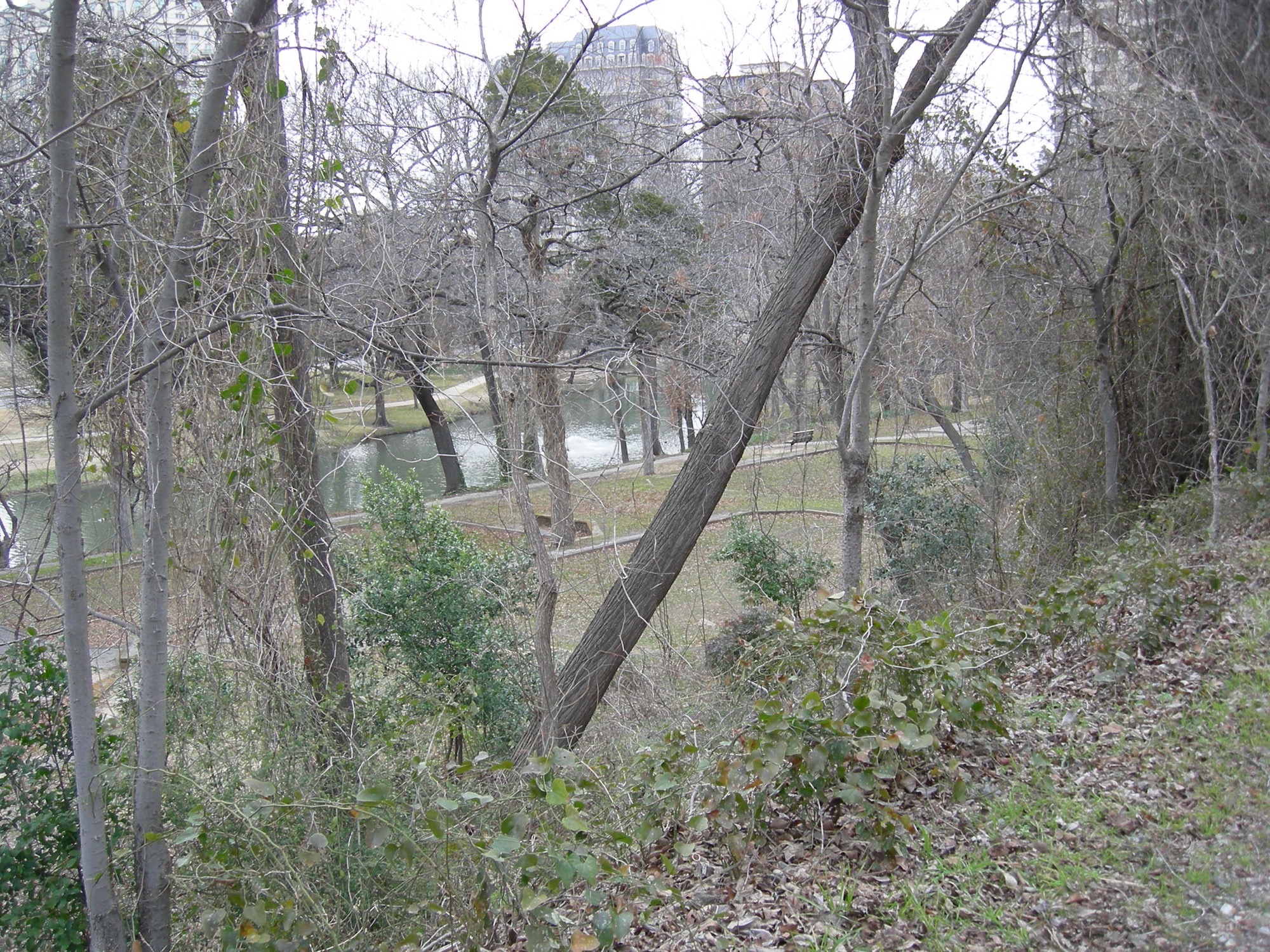 A turtle sculpture along the Katy Trail in Dallas